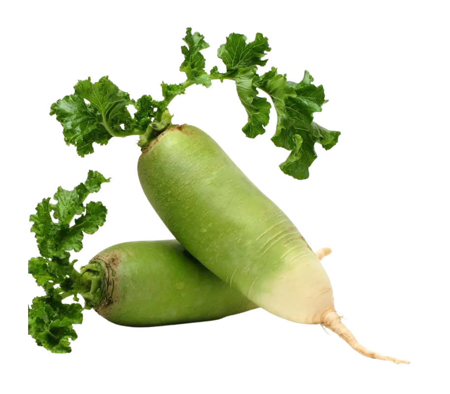 Green Radish